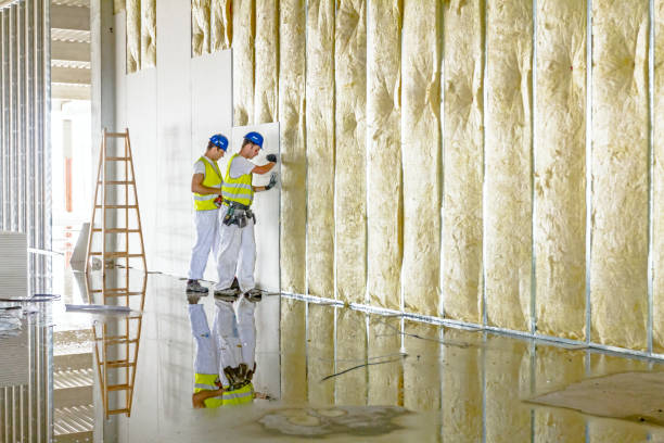 Best Eco-Friendly Insulation in Tuttle, OK